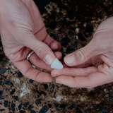 Bigwave-drops-ear-plugs