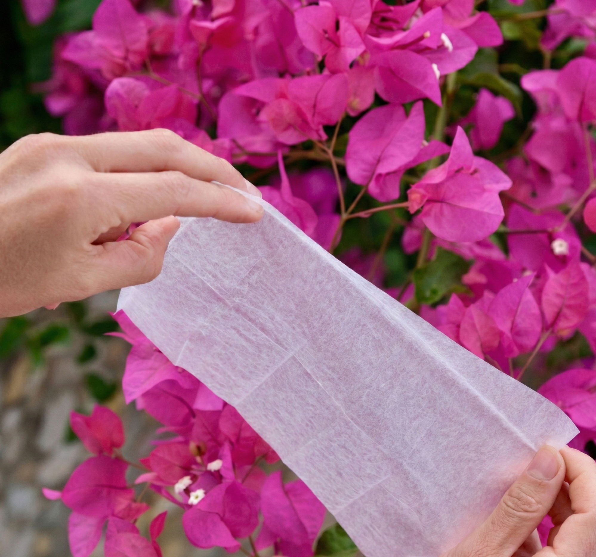 Audio Wipes For Hearing Aids - 100 Pcs